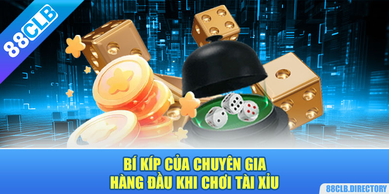 Bí kíp của chuyên gia hàng đầu khi chơi tài xỉu 