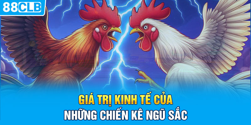 Giá trị kinh tế của những chiến kê ngũ sắc