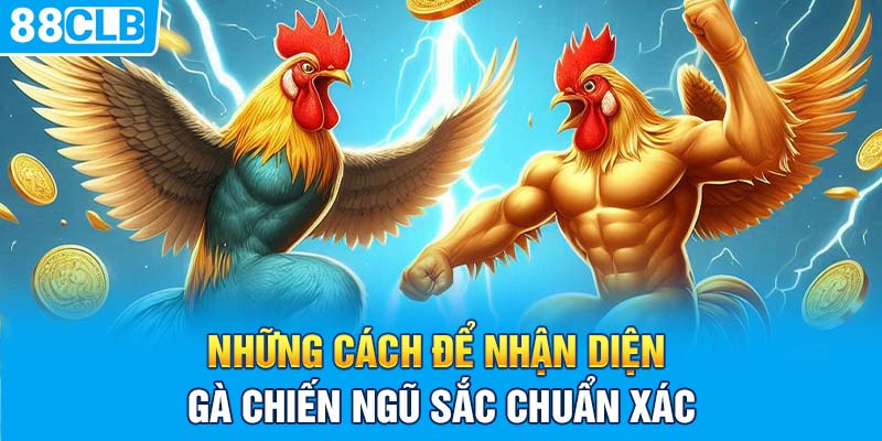 Những cách để nhận diện gà chiến ngũ sắc chuẩn xác