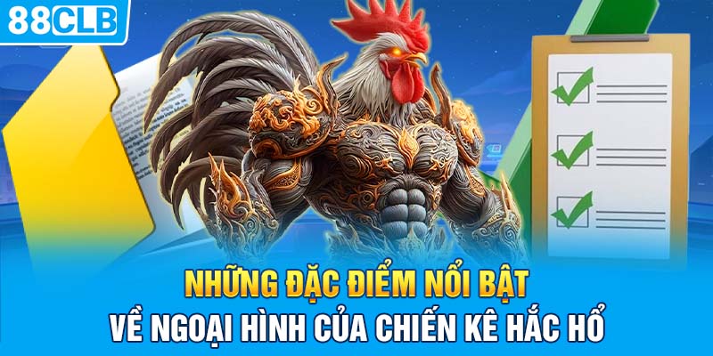 Những đặc điểm nổi bật về ngoại hình của chiến kê hắc hổ