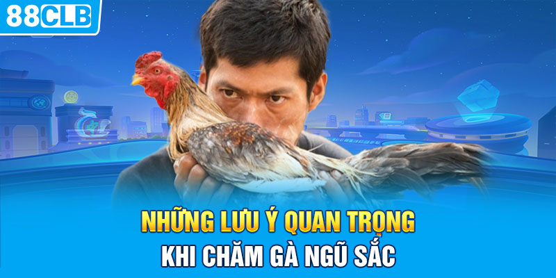 Những lưu ý quan trọng khi chăm gà ngũ sắc